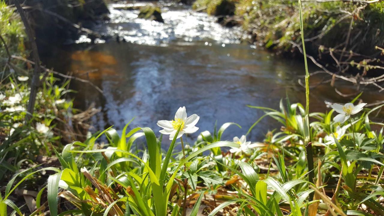 Le Moulin De Pensol - Gites Eksteriør billede